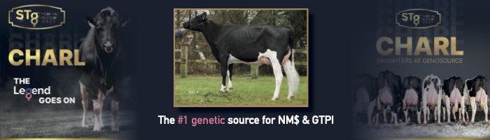 https://www.stgen.com/sire-directory/dairy-bull-usa.aspx?code=551HO03529&language=english&title=similar-charl